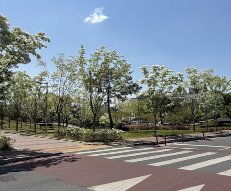 韓国留学を考えている方のお手伝いをします 気になること一緒に解決しましょう イメージ1