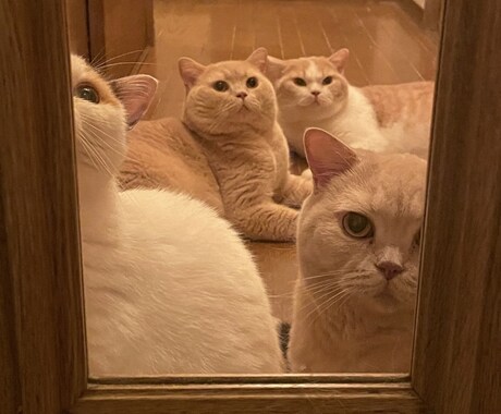 お悩みのご相談をお聞きします 悩んでいる、どうしよう、一緒に考えます。 イメージ1