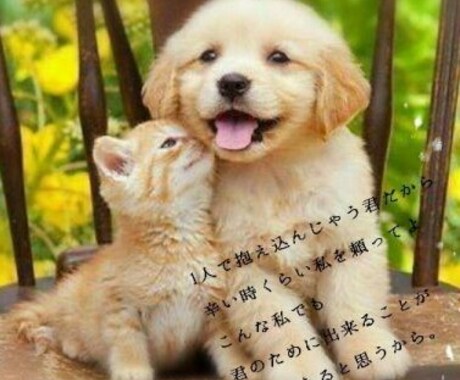 1時間ワンコイン相談、愚痴、不満、悩み聞きます 時間の許す限りトークルームにて沢山お話しましょう(^^) イメージ1