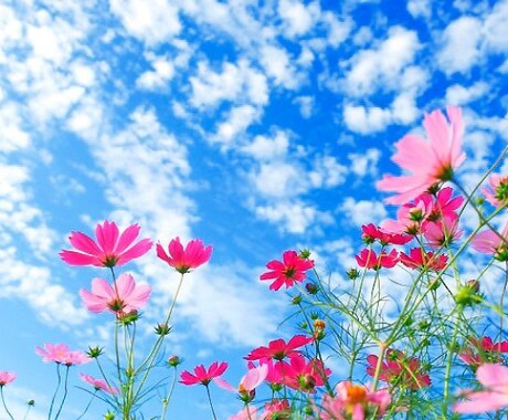 ちょっと聞いてほしいを叶えます 辛いこと楽しいこと、どんな話しでも聞きます イメージ1