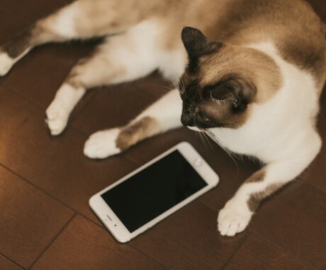 なぜか勝手に癒されて、また頑張れるコーチングします いつの間にか癒されるコーチング イメージ2