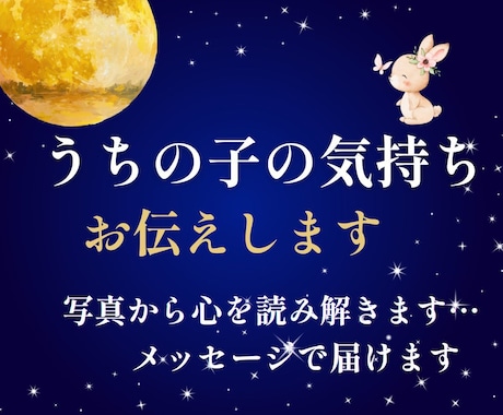 うちの子の気持ち、お伝えします お写真からその子の想いを、心を込めたメッセージでお届けします イメージ1