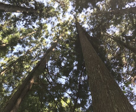 あなたの、ありのままで良いんだよ◎が見つけられます ビデオチャット対応◎ありのままの人生、子育て、人間関係。 イメージ1