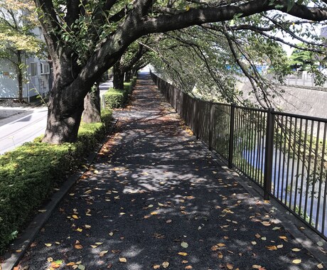 恋愛相談にのります 恋愛相談・離婚相談・おひとりさまの生き方相談お聞かせください イメージ1