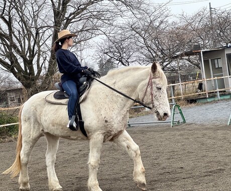 乗馬の動画撮影〜データ送付します 〜自分の騎乗姿勢の見直しに〜馬と仲良くなりましょう♪ イメージ1