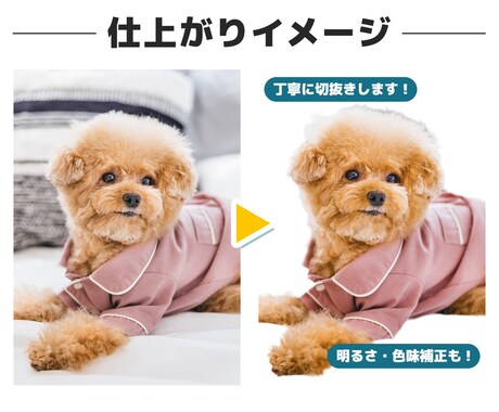 EC画像や資料に！写真の切り抜き加工承ります EC画像作成歴10年以上のデザイナーが丁寧に加工します！ イメージ2