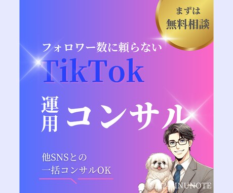 成果にコミットするTikTok運用をコンサルします TikTokの正しい活用方法を学べるサービスです！ イメージ1