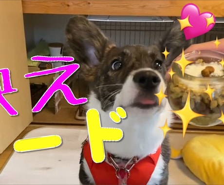 30分程の動画、ステキに編集します サムネイル作成、テロップ入れなど含め、素敵な作品を作ります！ イメージ1