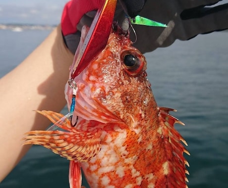 釣りガールがenjoyフィッシングをサポートします イメージ1