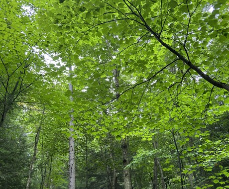 ストレス解消します ストレス解消ミニクラス（アクセスコンシャスネス） イメージ1