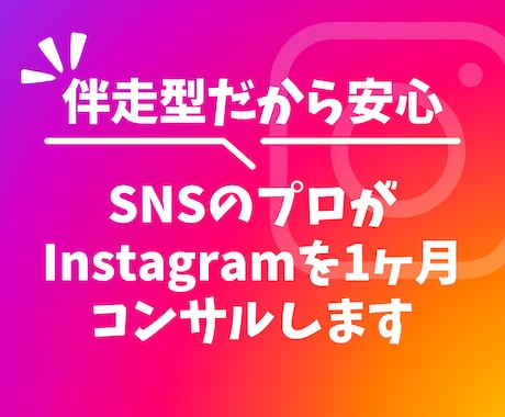 SNSのプロが1ヶ月インスタグラムのコンサルします 目的に応じたプロフィール添削、投稿添削、導線設計を行います! イメージ1