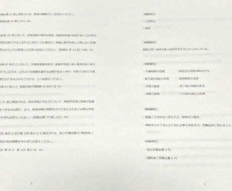 海事代理士二次試験対策過去問集を販売します 海事代理士合格者が、頻出過去問などを纏めた過去問集 イメージ2