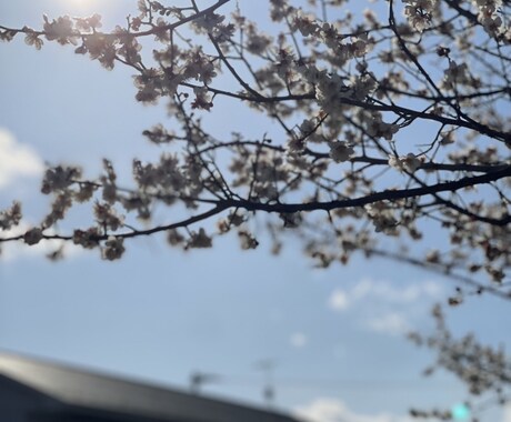 安心してください。辛いあなたを幸せにます 大丈夫ですよ。あなた様が幸せで居てほしい。 イメージ1