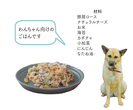 犬と猫の手作りレシピ(一般食)を作成いたします ペット栄養管理士兼獣医師による手作りレシピ作成サービスです イメージ2