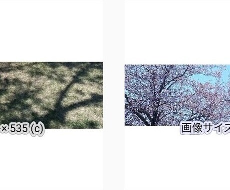 ツイッターヘッダーにお使い頂けます 選んで頂いた画像のファイルをお送りします。 イメージ2