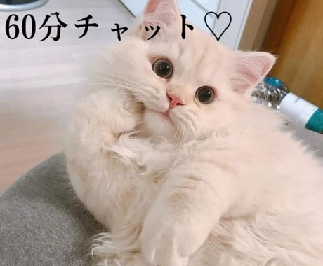 お試し1時間♡貴方の悩みに寄り添います チャット✩彼女✩LINE感覚✩女友達✩癒し✩相談✩愚痴 イメージ1