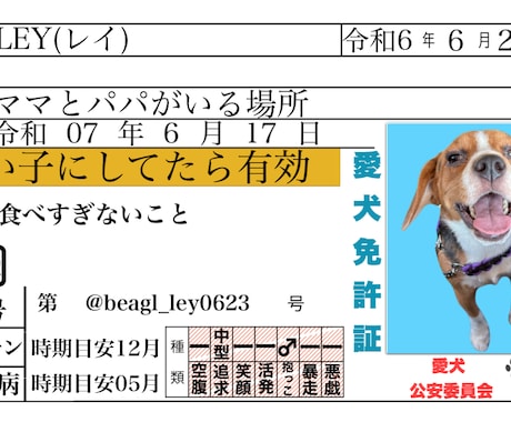 世界に一つだけの愛犬名刺、作ります 思わず配りたくなる、うちの子の特別な一枚 イメージ1