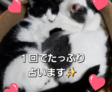 彼の気持ち出会いの時期、丁寧にたっぷり占います 恋愛に限らずその他全体運も占います。なんでもお話しください イメージ1