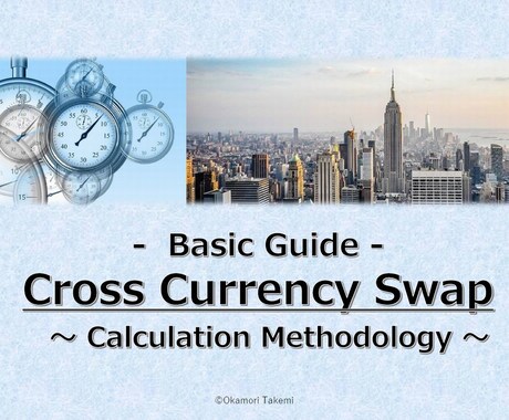 通貨スワップ計算の解説ガイドをご提供します 初心者向け：元外資系金融マンが教科書にない秘訣を伝授します イメージ2