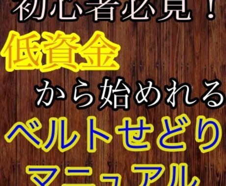 低資金から始めれるベルト転売教えます 低資金始めたい初心者必見ベルト転売マニュアル イメージ1