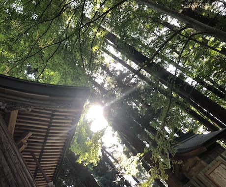 悩み相談、愚痴、話し相手いたします 話しやすいと言われますから、何でもお気軽にどうぞ！ イメージ2