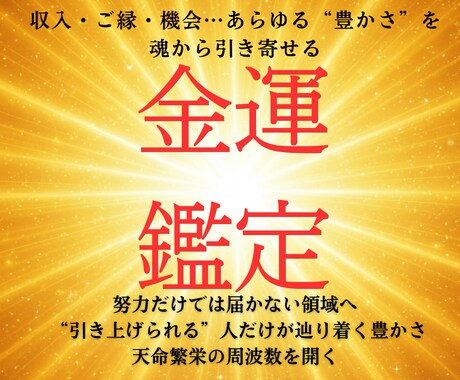 あなたの“金脈”を塞ぐ魂のブロックを解除します あなたの魂を“豊かさの波動”に再調律し、お金の流れを変えます イメージ1