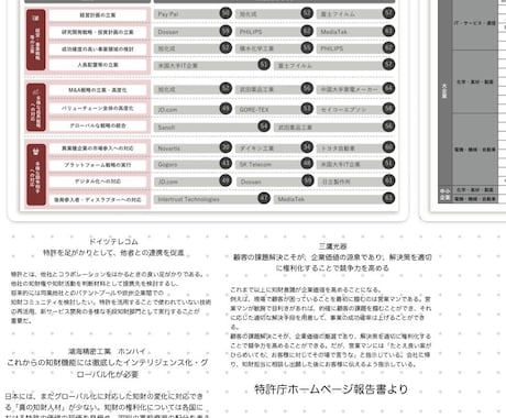 初学者向特許制度概論を実務経験を活かして解説します 知財×経営戦略 将来事業構想•新事業創出•特許法導入ガイド イメージ2