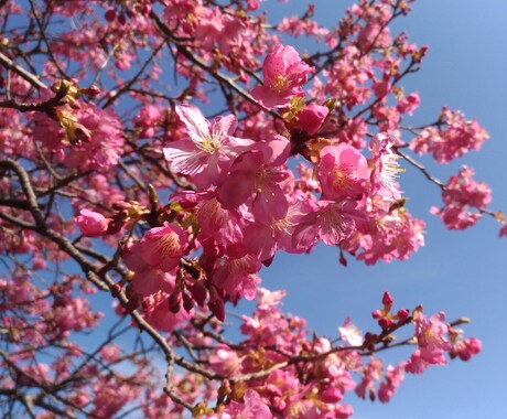 女性限定 あなたに合わせた恋人になります なかなか男性と話せないなどへの女性向け通話サービスです。 イメージ1