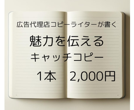 広告代理店コピーライターが一言紹介文を作成します 商品の魅力をターゲットに理解させるコピー案を作成します イメージ1