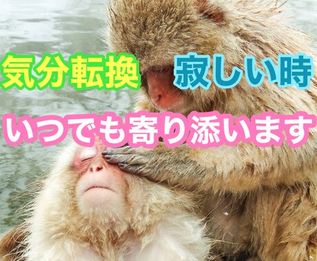 誰かと話たいなという時、いつでもお話相手になります 独りでつまらない、寂しい時の気分転換に イメージ1