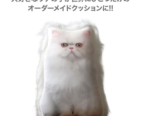 ペットロス　うちの子（犬　猫）のぬいぐるみ作ります 裏面のファーが、虹の橋を渡ったウチの子を撫でている様な感覚に イメージ2