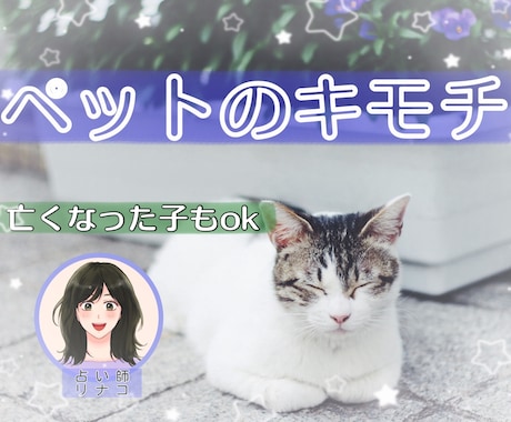 ペットちゃんの気持ち❇伝えます 初めての方歓迎❤すべての動物の子OK❤ イメージ1