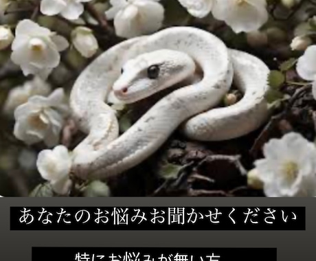 何でもお悩み相談下さい。お悩み1件につき1枚引ます 24時間以内にお答えします。お悩み解決、何でもご相談下さい。 イメージ1