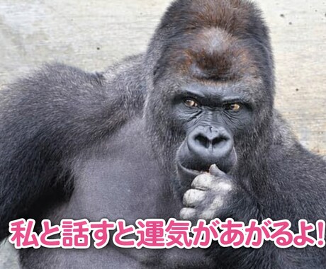 コミュ症一緒に改善させます 人と話すのが苦手！！それでも話を聞いて欲しい人.私に任せて イメージ2