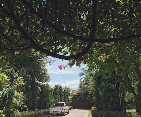 現役セラピストがあなたの心に寄り添います 心理カウンセラー現役アロマセラピストによる傾聴セッション イメージ2