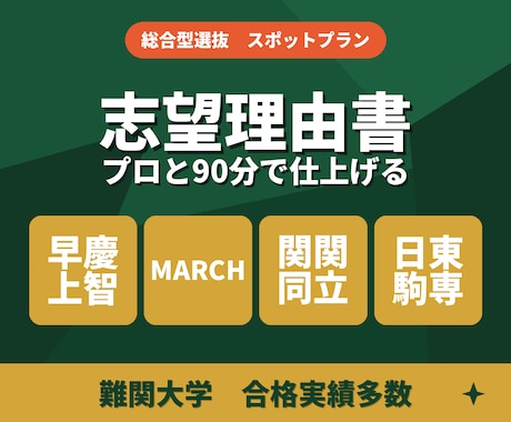 志望理由書を90分で徹底的にブラッシュアップします ゼロから完成まで、志望理由書をプロと仕上げましょう イメージ1