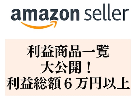 アマゾンセラーで実際に利益が出た商品を公開します 電脳せどり&店舗せどりの利益商品大公開！！Part1 イメージ1