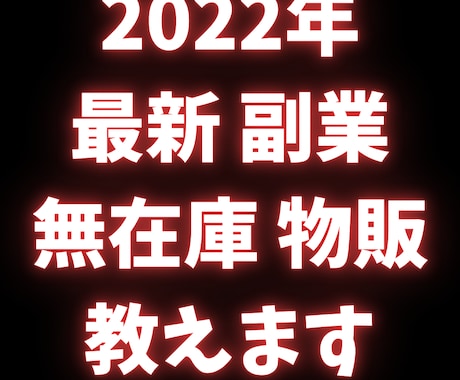 初心者でも無在庫ショップを成功させる方法教えます パソコン初心者でもしっかりサポートします イメージ1