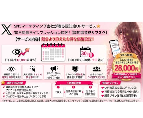 Xインプレッション毎日1万回30日間拡散します イメージ1