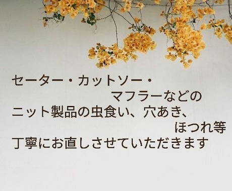 ニット製品の穴あき補修致します あなたの大切なセーター、カットソーなど、丁寧にお直しします。 イメージ2