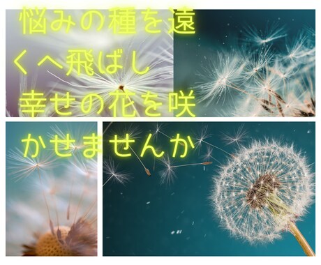 あなたの悩みの本当の種を一緒に探します 悩みの解決方法は、意外な所にあるものです イメージ1