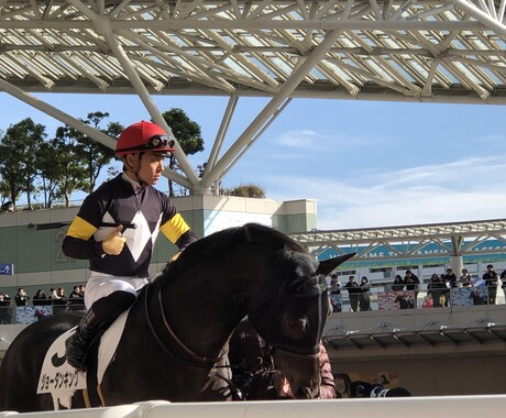 中央競馬の予想をお届けします 競馬！血統、展開予想を駆使して信頼度の高い軸馬をお届け！ イメージ1