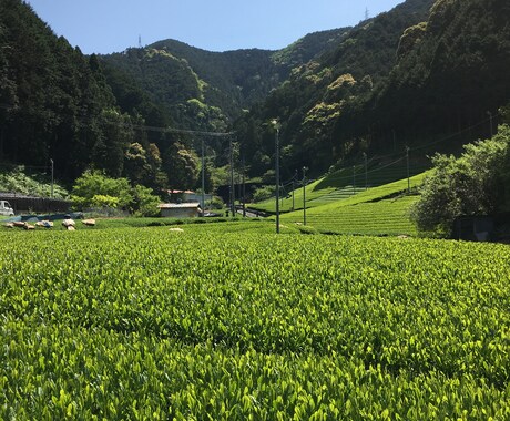 就職・転職等求人についてのお悩みの方へ、解消します！！ イメージ1