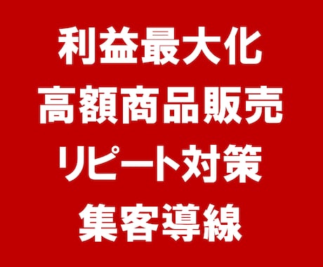 コンサルであなたの利益を最大化します どうすればもっと売上を最大化できるかを検討したい方へ イメージ1