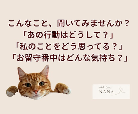 うちの子への質問１つを深掘りして答えをお伝えします これだけ聞きたい！を叶える一問一答アニマルコミュニケーション イメージ2