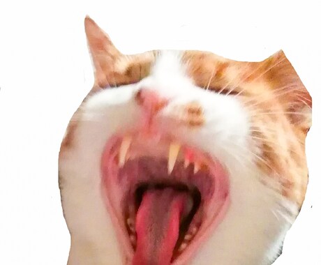 今すぐ、溜まってる愚痴や悩み聞きます 話せる人がいなくて、切羽詰まって、疲れてる方 イメージ1