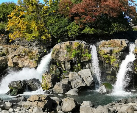 精神当事者同士悩み聴きます うつ病治療中のピアサポーターです。 イメージ1
