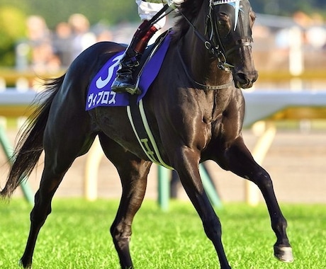 中央競馬各競馬場の馬券の"キモ"教えます 競馬場によって走る馬は違う!その特徴を伝授します! イメージ1