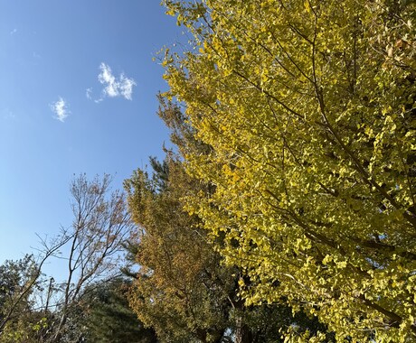 人の悩みの大半は人間関係★気持ちをとことん聞きます 男性、女性どんな悩みもポジティブ変換していきます(^^) イメージ1