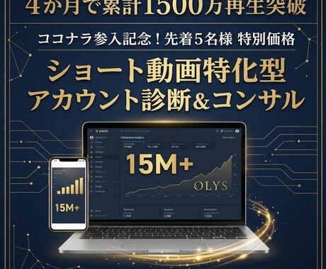 先着5名！プロがSNS運用をコンサルします 実績作りにつき先着5名様限定！プロがSNSをコンサルします！ イメージ1